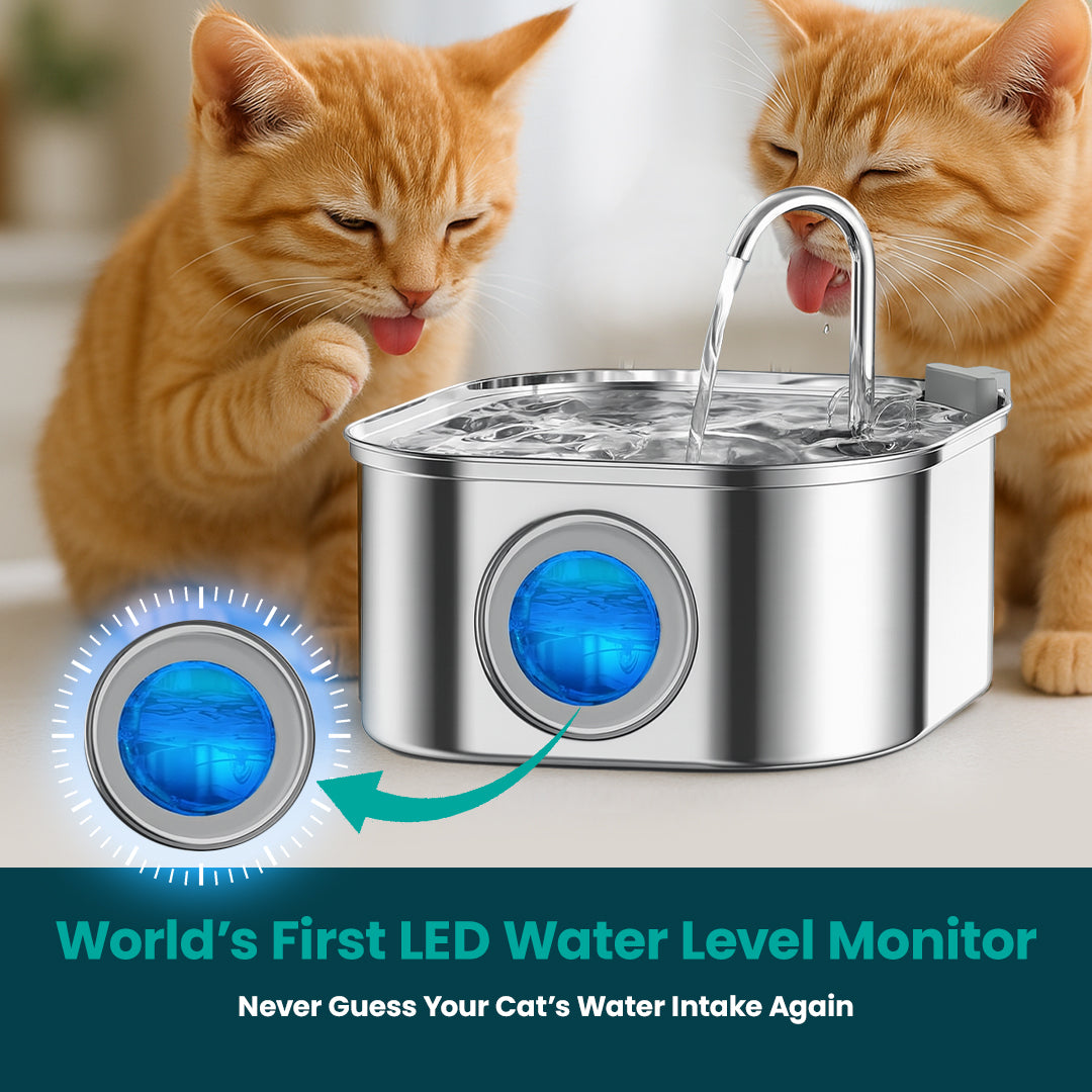 HydroFlow™ Premium 3.2L Dual Filtration + USB + LED Water Fountain
