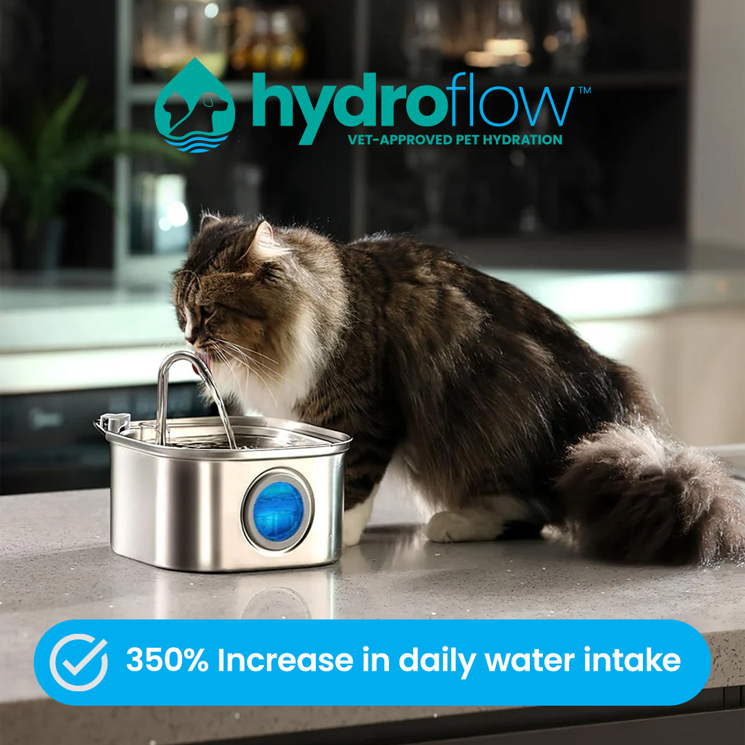 HydroFlow™ Premium 3.2L Dual Filtration + USB + LED Water Fountain